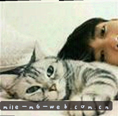王磊